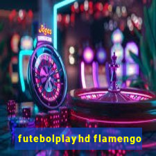 futebolplayhd flamengo